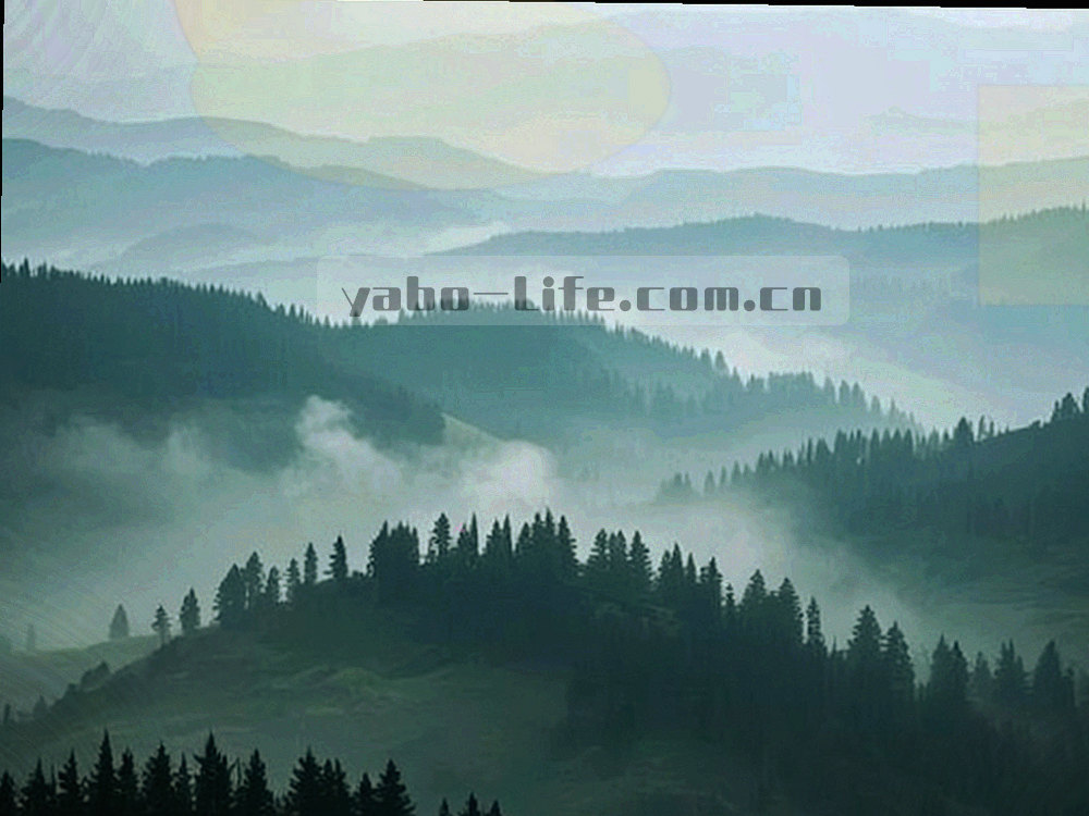 麻辣鸭脖与辣椒花椒近景，辣椒红色调，背景简洁